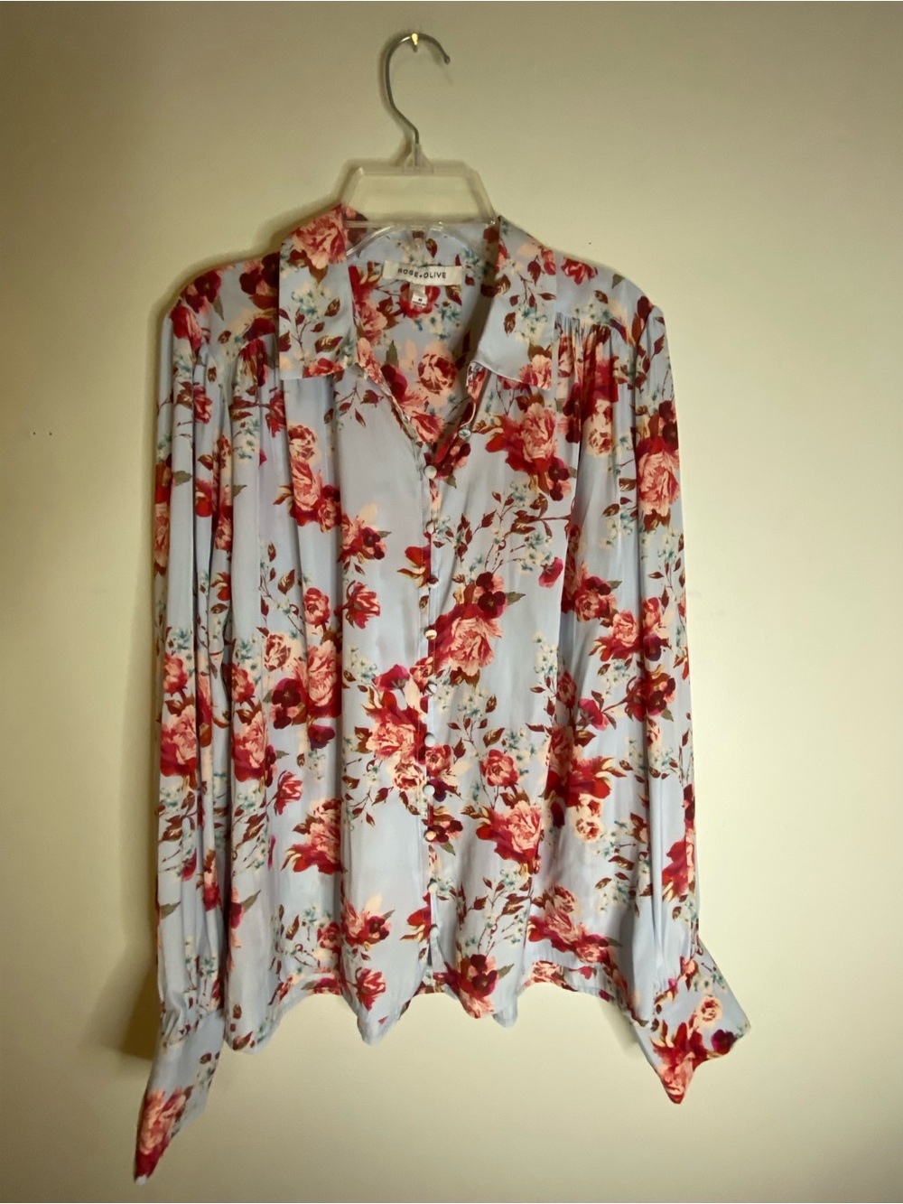 Rose & Olive Pale Blue Floral Button-Down Blouse with Red and Pink Flowers